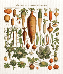 Disktrasa grönsaker