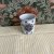 Mug Gripsholm