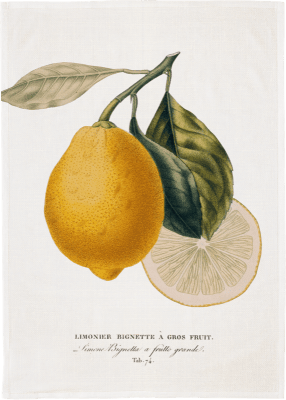 Zoom bild av Kökshandduk - Citron