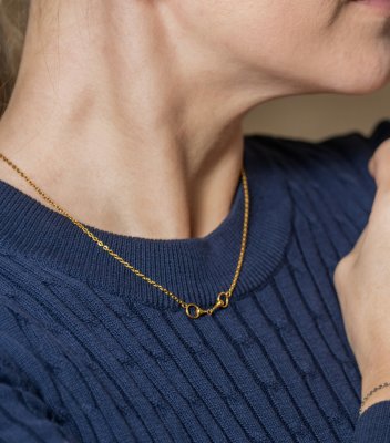 Zoom bild av Halsband Stigbygel, guld