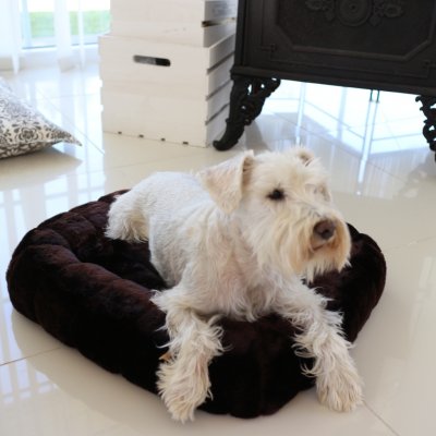 Zoom bild av elegant hundbädd i brunt för den mindre vovven