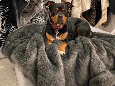 Zoom image of Throw Racoon, 130 x 180 cm