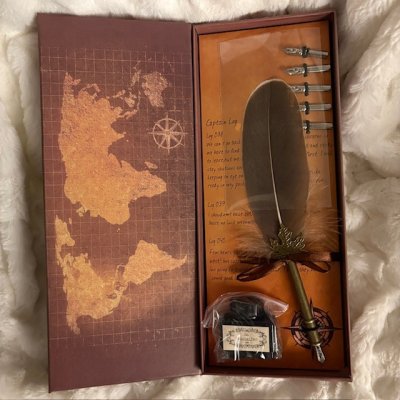 Zoom bild av vackert gammaldags kalligrafipenna fjäderpenna