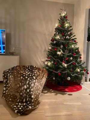 Zoom image of Pläd Fawn