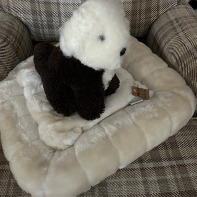 Zoom bild av gosedjur hund vovve fårskinnspäls