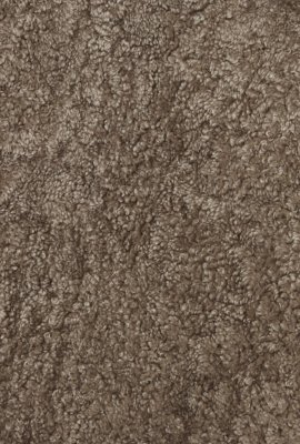 Zoom bild av Fårskinn Curly, Sahara