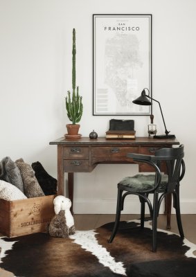 Zoom bild av Hunden Lollo, vit/ ljusbrun