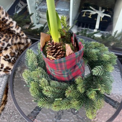 Zoom bild av tartan rutig tygkorg jul