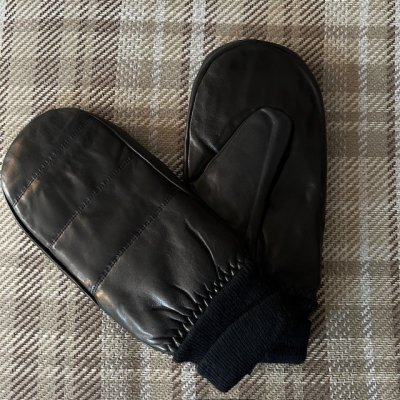 Zoom bild av Tumhandske skinn med mudd,svart