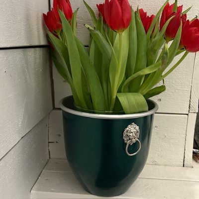 Zoom bild av vinkylare racinggreen klassisk o sofistikerat old money style