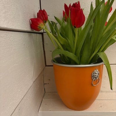 Zoom bild av softikerad vinkylare winecooler lejonhuvuden nickel