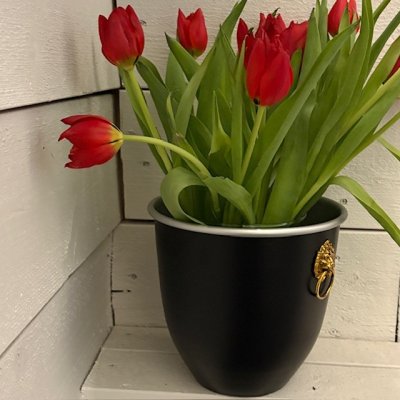 Zoom bild av vinkylare svart matt handmålad svensk design lejonhuvud